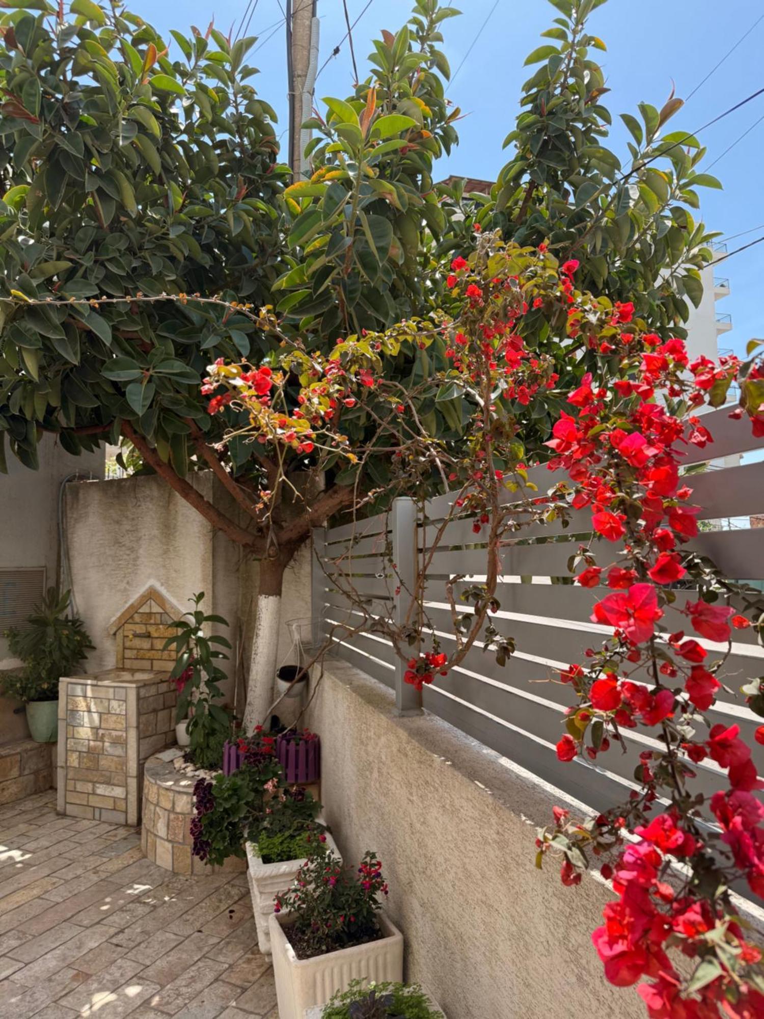 Apartments & Studios Ardian-Mandi Sarande-Albania מראה חיצוני תמונה