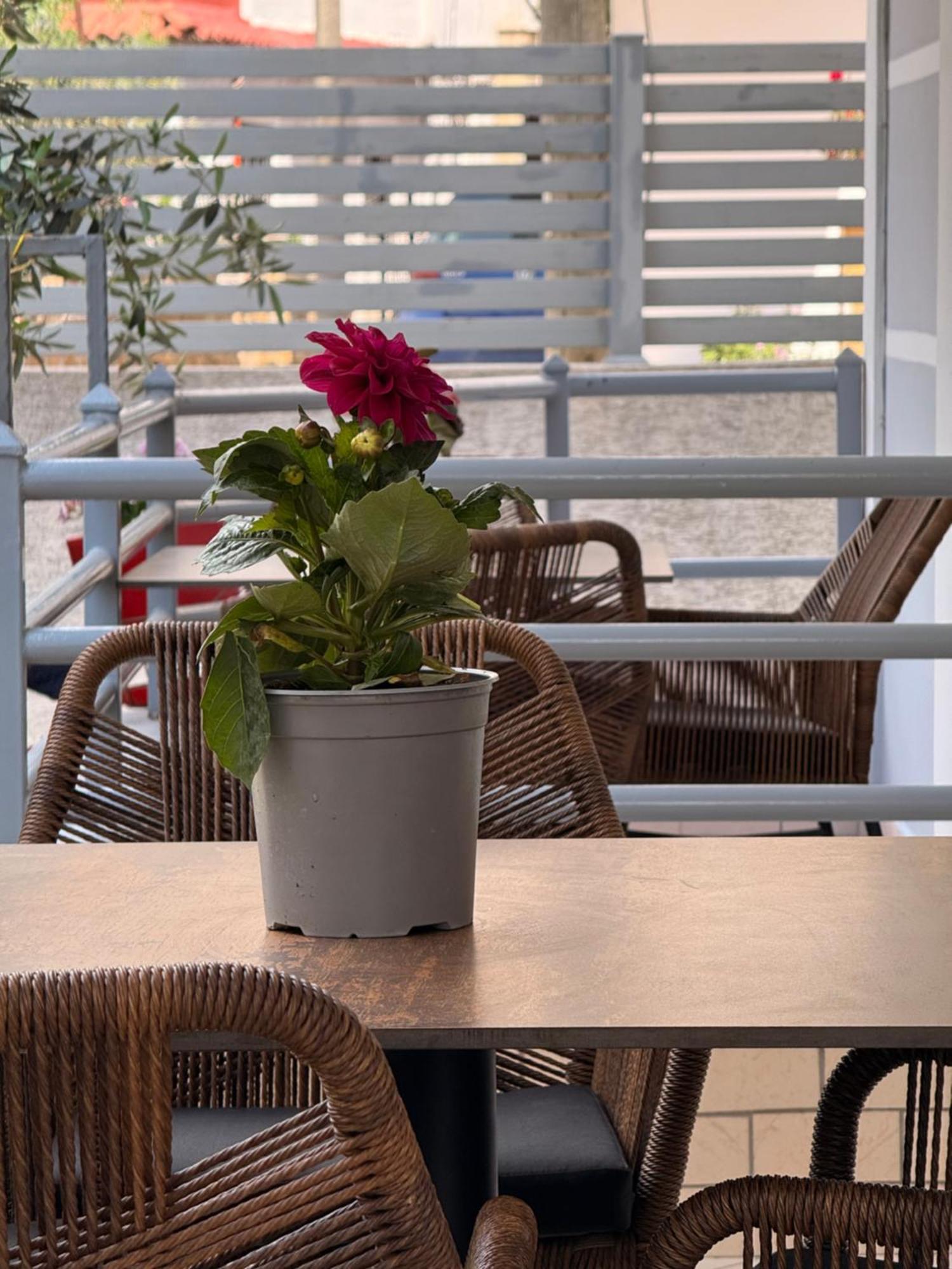 Apartments & Studios Ardian-Mandi Sarande-Albania מראה חיצוני תמונה